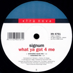Signum - What Ya Got 4 Me (12")